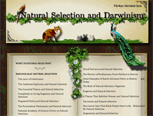 Tablet Screenshot of naturalselectionanddarwinism.com